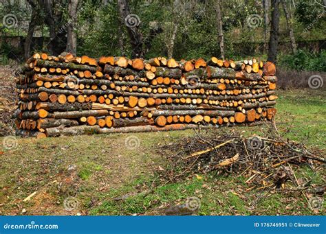 Pile Of Firewood Stock Image Image Of Energy Stack 176746951