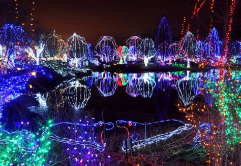 Best Christmas Light Show In Michigan At Andrea Shanahan Blog