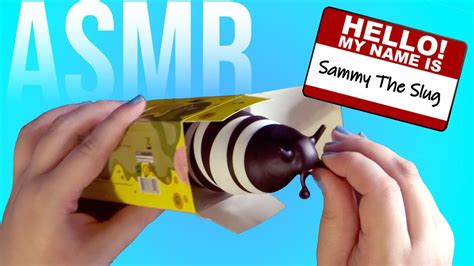 Asmr Introducing Sammy The Slug No Talking Youtube