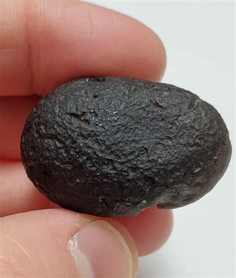 Large Saffordite Tektite 221 Grams Or 1105 Carat Cintamani Stone