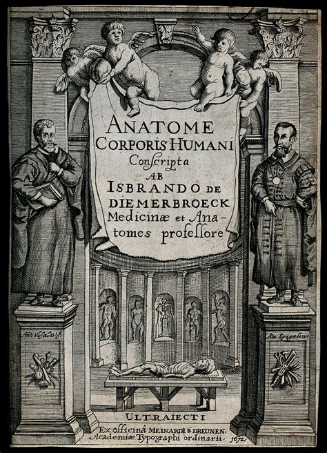 An Anatomy Theatre With Statues Of The Anatomists Vesalius And