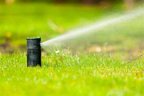 Selecting The Best Sprinkler Head For Your Lawn Gardener Corner