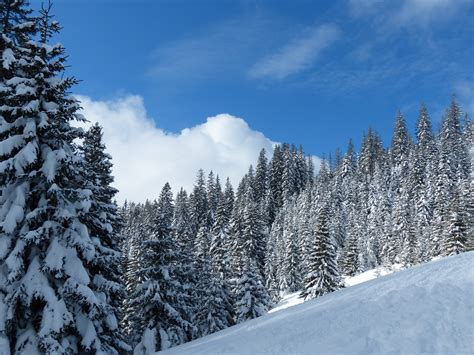 images gratuites paysage arbre forêt région sauvage montagne du froid hiver ciel