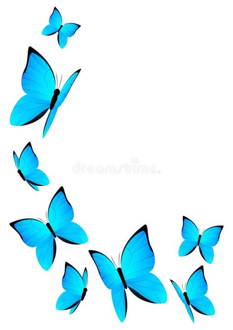 Blue Butterfly Stock Photo Image Of Colorful Beautiful 8230276