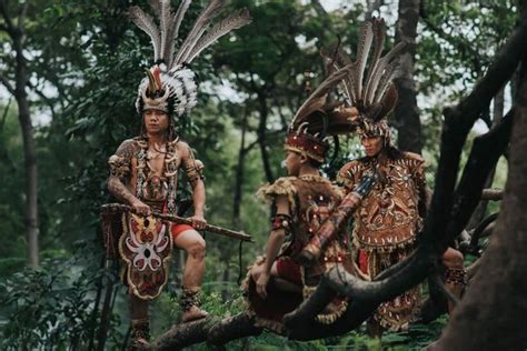 Suku Dayak Berasal Dari Kalimantan Ini Asal Usul Dan Tradisinya