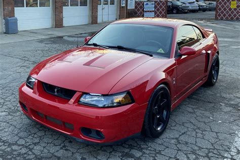 53l Powered 2004 Ford Mustang Svt Cobra Coupe On Bat