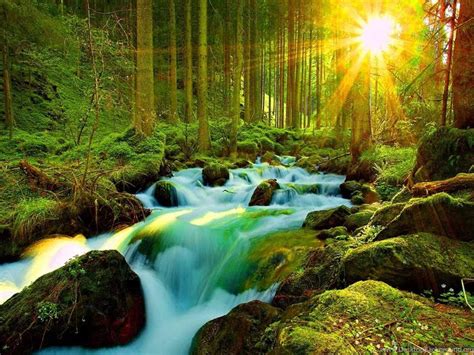 Most Beautiful Nature Wallpapers For Desktop All New