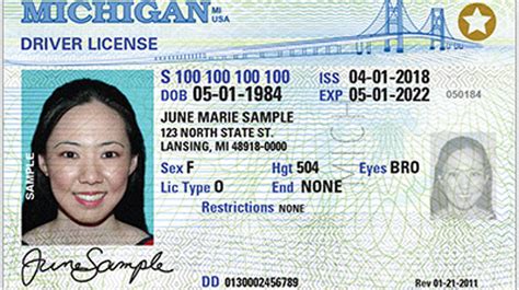 It was created as a solution to the modern financial system. Michigan REAL ID: What Is It and Why Do I Need One To Fly ...