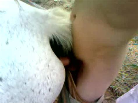 Horny Guy Enjoys Fucking His Horse While Alone On A Field