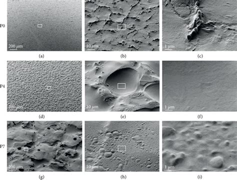 SEM Micrographs Of Polyurethane Samples With Different Roughness A C