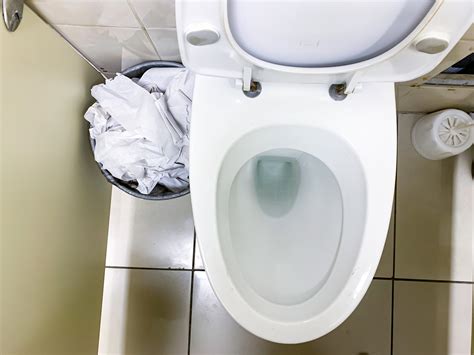 Why Is My Toilet Gurgling Are My Drains Blocked — Pipe Doctor