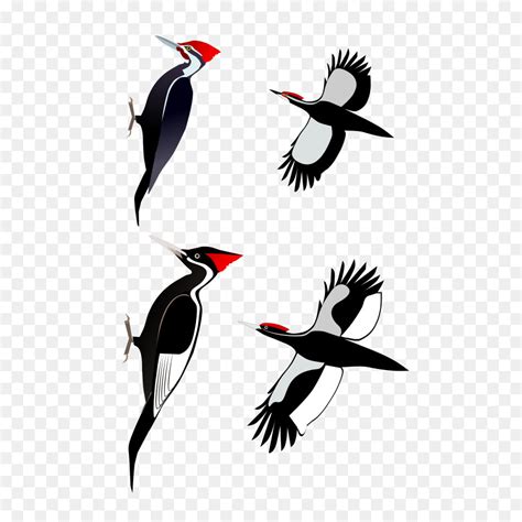 Bird Cartoon Clipart Bird Wing Graphics Transparent Clip Art