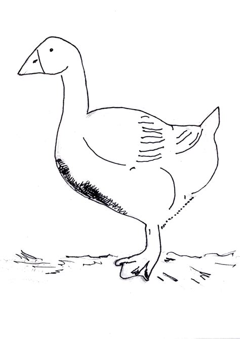 Free geese coloring page that you can customize and print on the fly. Baby Goose Coloring Page - Coloring Home