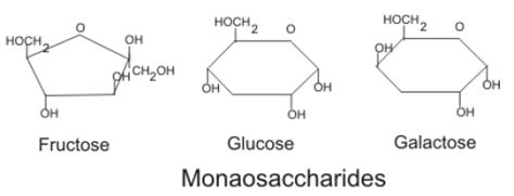 Definition Monosaccharides