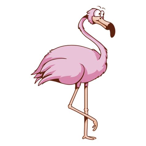 Flamingo Tropical Bird Icon Png And Svg Design For T Shirts
