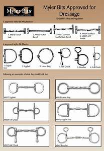 Pin By Patti Melnick On Horse Stuff Horses Horse Bits Horse Facts