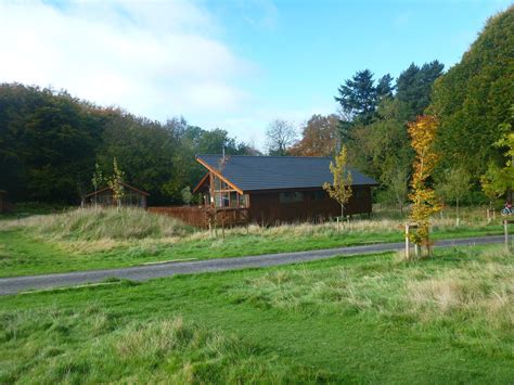 Staying In A Cabin In The Forest Of Dean Gloucestershire England