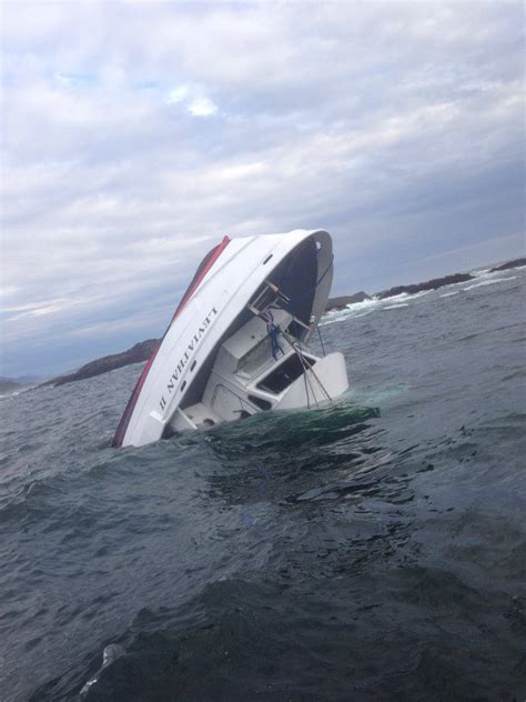 5 British Citizens Dead 1 Missing In Tofino Whale Watching Boat Accident Humber News