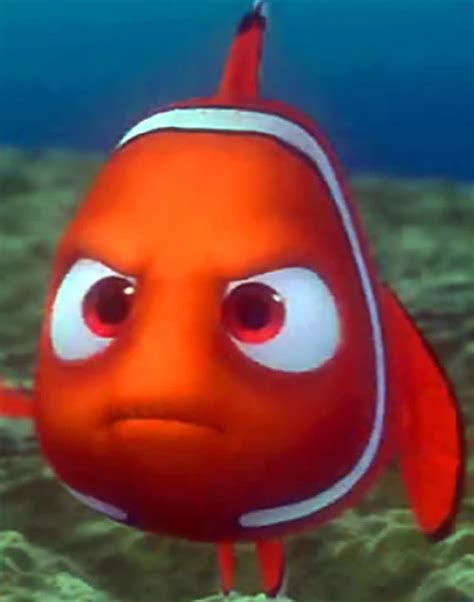 Angry Nemo By Asandoval24 On Deviantart