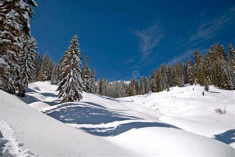 Winter Meadow Stock Photo Image Of Calm Cross Beautiful 14618110