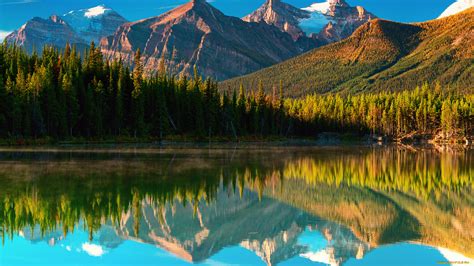 Скачать обои природа пейзажи лес горы канада озеро Herbert из