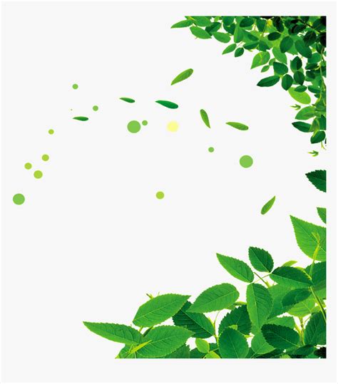 Download Gratis 98 Background Green Leaves Png Hd Terbaik