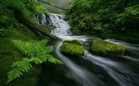 1920x1200 Waterfall Greenery Earth Wallpaper Coolwallpapersme