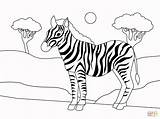 Coloring Zebra Printable Supercoloring sketch template