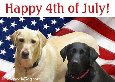 Happy 4th of july images, fourth of july pictures, 4th of july quotes, independence day usa quotes, greetings in honour of american independence, we have compiled some of the best happy 4th of july images and pictures to post on facebook, instagram, twitter, and other social media sites. Talking Dogs at For Love of a Dog: Happy 4th of July from ...