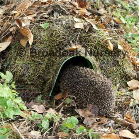 Hogitat Hedgehog House Home Small Mammal Nest Habitat Broadoak