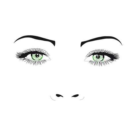 Woman Face Eyes Vector Illustration — Stock Vector © Alvaroc 3404410
