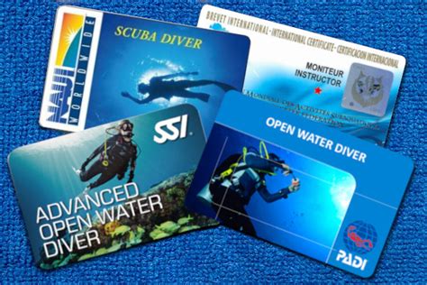 What Is The Best Scuba Diving Certification Padi Naui Ssi Sdi