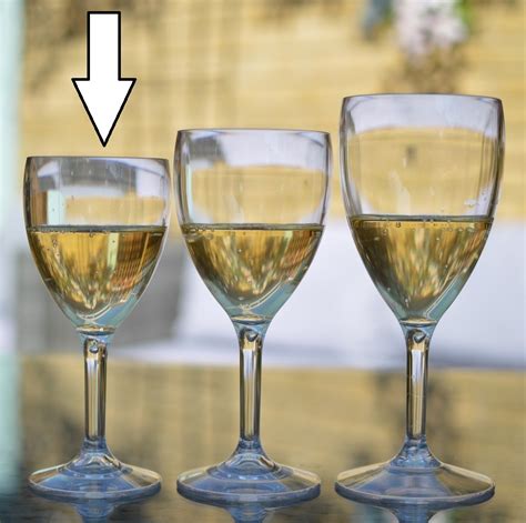 Plastic Wine Glasses Polycarbonate 255ml Catering Products Direct
