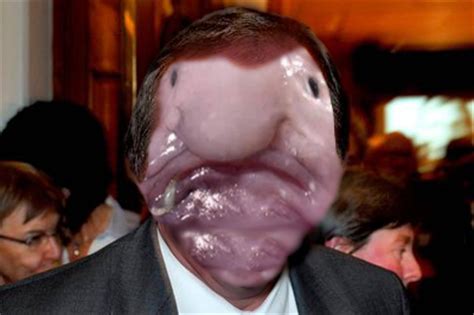 Stefan löfven wird in schweden erneut ministerpräsident. Löfven: Jag ser inte alls ut som en blobfisk!