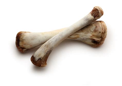 If you remove all muscle as much as you can down to the bone, you will find the skeleton of the chicken leg Feeding Your Cats Cooked Chicken Bones