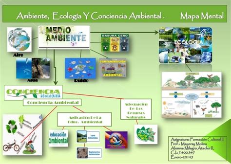 Ambiente Ecología Y Conciencia Ambiental Mapa Mental