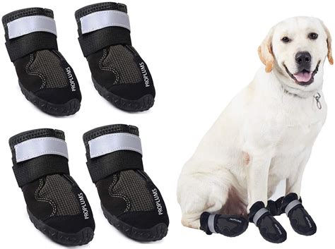 Best Hunting Dog Boots Rough Terrain Protection