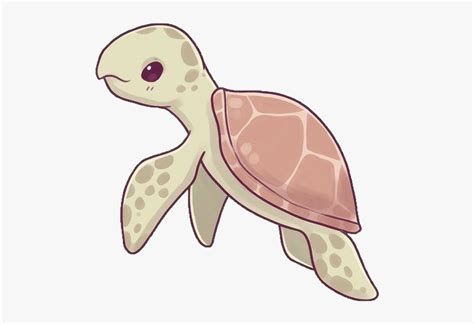 The species name imbricata is latin for imbricate which corresponds to the overlapping plates, called scutes on the hawksbill sea turtles shell. #turtle #sealife #sea #ocean #cute #kawaii #naomilord - Hawksbill Sea Turtle Drawing, HD Png ...