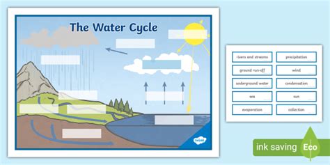 Free The Water Cycle Large Display Labeling Activity