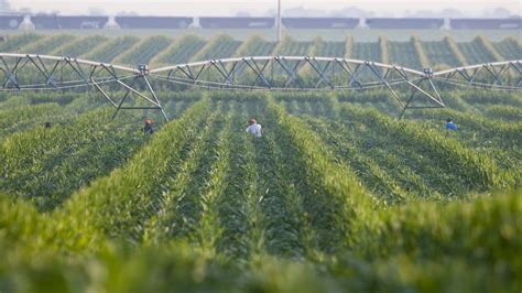 Turning Off The Spigot In Western Kansas Farmland | NCPR News