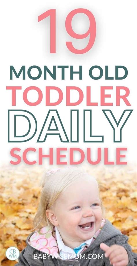 19 Month Old Toddler Daily Schedule A Full Summary Of Life For This 19