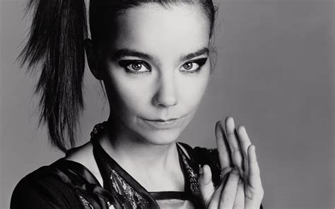 Icelandic Singer Songwriter Björk