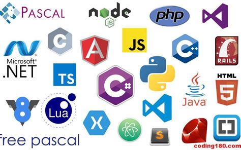 Top 5 Programming Languages Choosing The Right One
