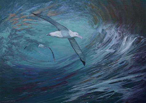 Wandering Albatross Gerry Miles Paintings