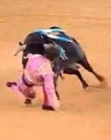 Matadors Scars Revealed As Bull Knocks His Glass Eye Out Daily Mail