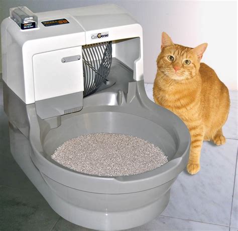 The shots are very painful so i needed an alternative. Top 5 Best Cat Litter Boxes for Multiple Cats - eHome Remedies
