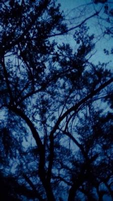 Blaue blume) was a central symbol of inspiration for the romanticism movement, and remains an enduring motif in western art today. dark blue | Tumblr | Blue aesthetic, Aesthetic colors ...