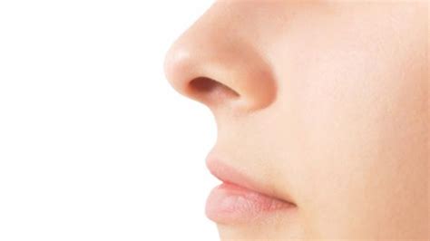 Ia dipisahkan oleh tulang tengah iaitu 'septum'. Luar Biasa, Lubang Hidung Kiri dan Kanan Ternyata Miliki ...