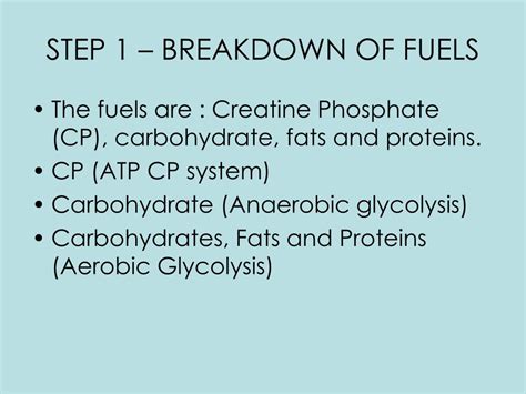 These sources are more plentiful, and fat is a much more efficient. The Role Of Carbohydrate, Fat And Protein As Fuels For ...