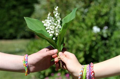 Vente De Muguet Le 1er Mai 2022 Ce Qui Est Autorisé Ou Interdit